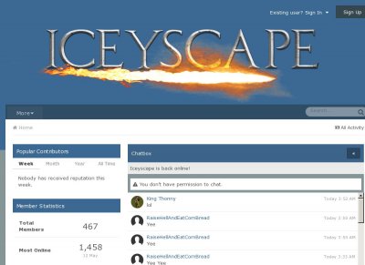 Iceyscape 317 New Server